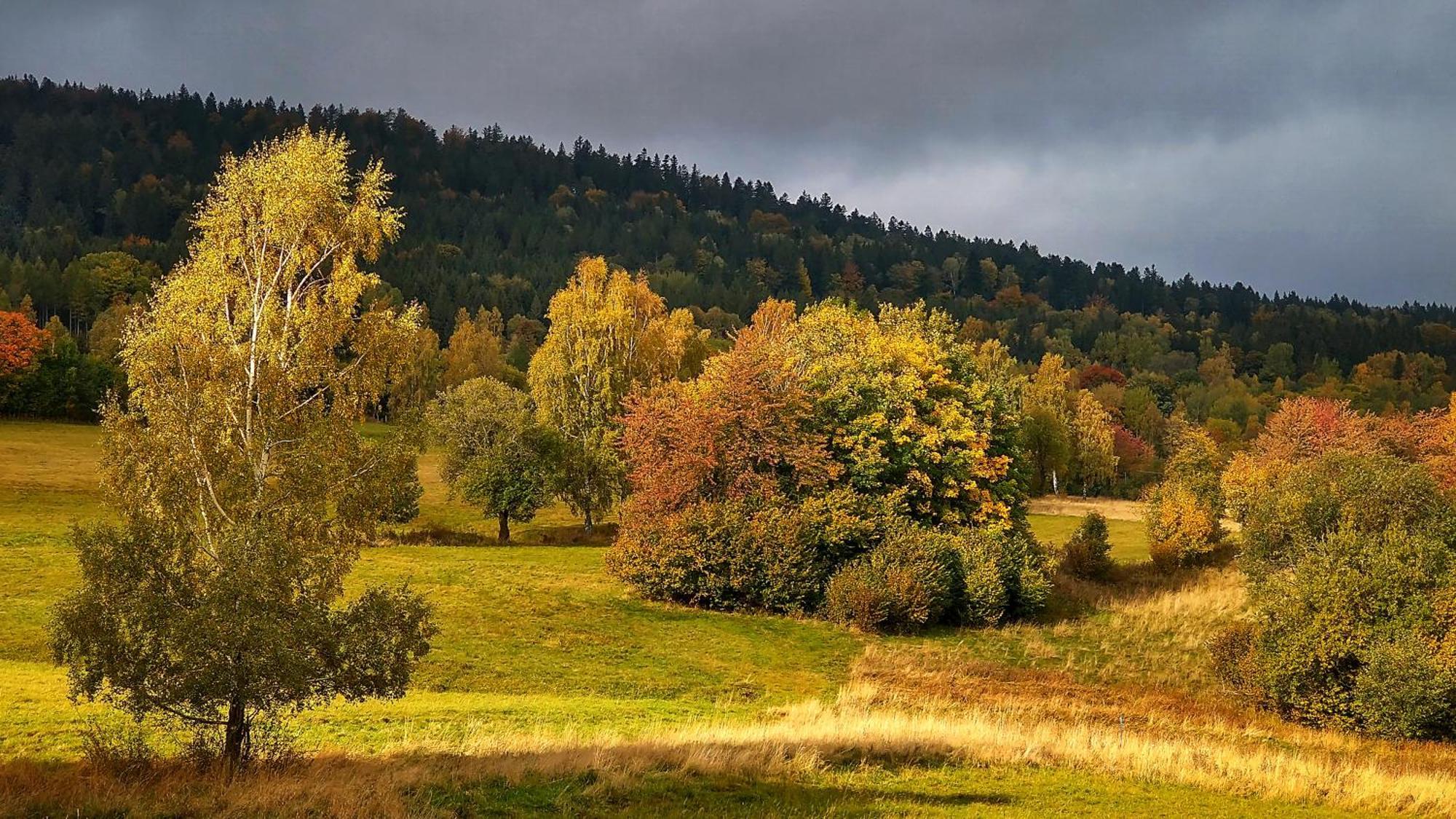 Rezydencja Ostoja Строне-Слёнске Экстерьер фото